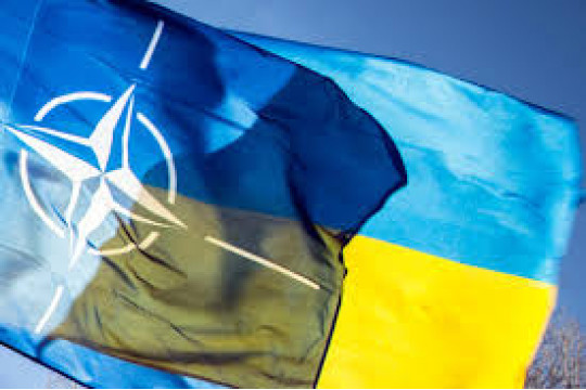Як НАТО підтримує оборонну реформу в Україні?